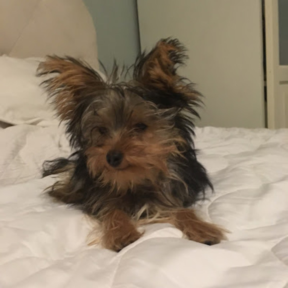 Meet your Posher, Janna - Picture 1 of 1